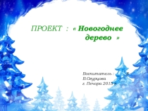 Презентация проекта Ёлочка, елочка,зелёная иголочка