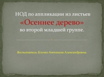 НОД по аппликации из листьев  Осеннее дерево