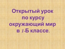 Презентация к уроку окружающий мир 1 класс Экскурсия в зоопарк