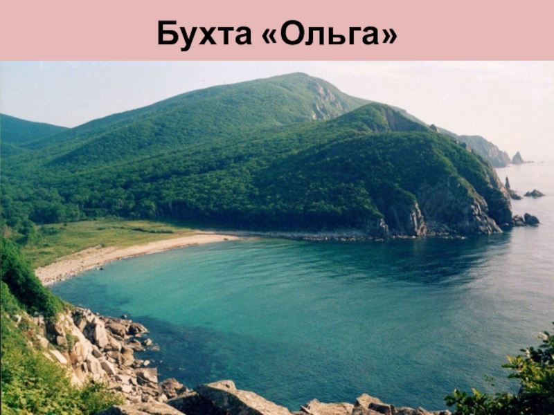 М бухта. Бухта Ольга Приморский край. Японское море бухта Ольга. Тимофеевка Приморский край море. Залив Ольги Приморский край.