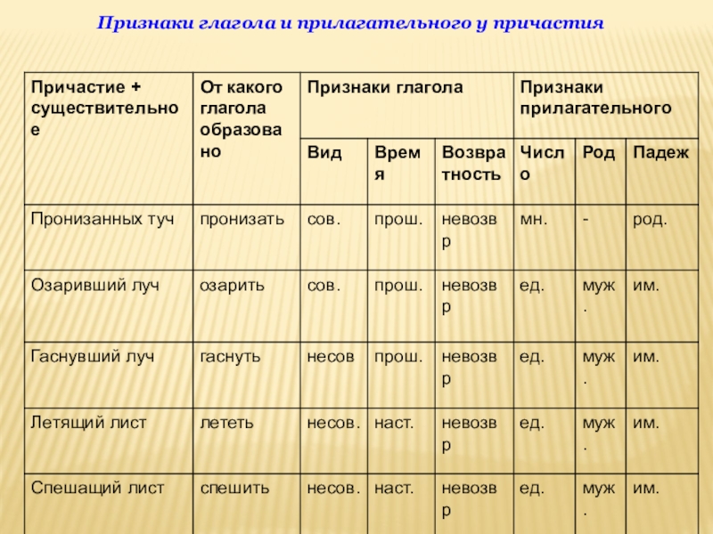 Презентация по русскому языку на тему Причастие Признаки глагола и прилагательного у причастия Признаки глагола и прилагательного у причастия
