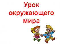 Презентация по окружающему миру в 4 классе по теме: Как устроен организм человека