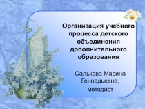 ПРЕЗЕНТАЦИЯ ПО ТЕМЕ: ОРГАНИЗАЦИЯ УЧЕБНОГО ПРОЦЕССА ДЕТСКОГО ОБЪЕДИНЕНИЯ ДОПОЛНИТЕЛЬНОГО ОБРАЗОВАНИЯ