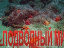 Презентация: Физкультминутка для глаз Подводный мир