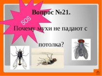 Презентация по географии Атмосферное давление