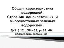 Презентация по биологии Общая характеристика водорослей. Одноклеточные и многоклеточные зелёные водоросли (6 класс)
