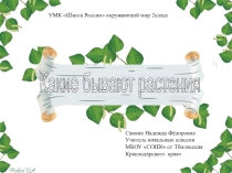 Презентация к уроку окружающего мира на тему: Какие бывают растения.