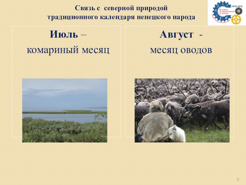 Экологический календарь ненецкого народа Связь с северной природой традиционного календаря ненецкого народа Июль – комариный месяц Август - месяц оводов Связь с северной природой традиционного календаря ненецкого народа Июль – комариный месяц Август - месяц оводов