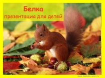 Презентация по русскому языку Изложение с элементами сочинения (6 класс)