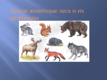 Презентация Дикие животные леса и их детёныши