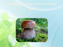 Однокоренные слова к слову гриб (2 класс)