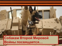 Презентация. Роль собак во время Второй Мировой войны.