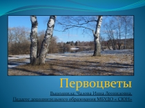 Презентация для занятий по программе  Мир вокруг нас