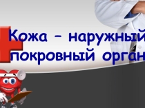 Презентация Кожа – наружный покровный орган (8 класс)