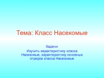 Презентация по теме: Насекомые