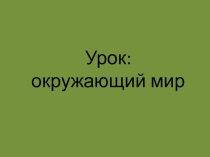 Презентация к уроку окружающий мир на тему:Сколько лет живут растения? Перспективная начальная школа. 2 класс