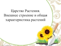 Презентация по биологии Царство растений. Внешнее строение и общая характеристика (6 класс)