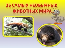Презентация по окружающему миру: Необычные животные планеты (1 класс)