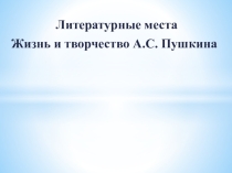 Презентация к уроку литературы на тему: Биография Пушкина