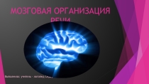 Презентация Мозговая организация речи