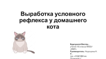 Презентация к исследовательской работе ученика Выработка условного рефлекса у кота