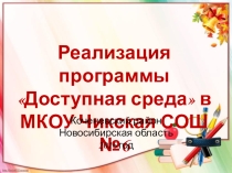 Программа Доступная среда, её реализация в МКОУ Чикская СОШ №6