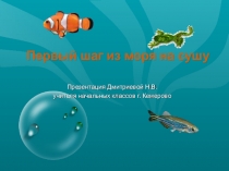 Презентация Первые шаги из моря на сушу. Дмитриева Н.В.