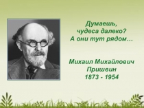 Презентация к уроку литературного чтения на тему Чудеса рядом (3 класс)