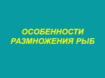 Презентация Особенности размножения рыб