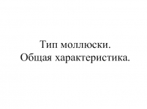 Презентация к уроку Тип моллюски