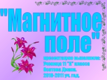 Презентация по физике Магнитное поле (11 класс)