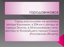Экскурсия по город Городовиковск.