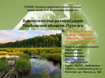 Презентация по экологии на тему Биологическое разнообразие Тамбовской области. Пути его сохранения