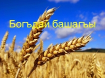 Презентация по крымскотатарской литературе на тему  Отьмек ( 6 класс)