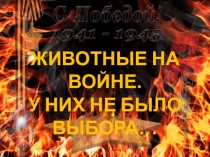 Проект Животные на войне