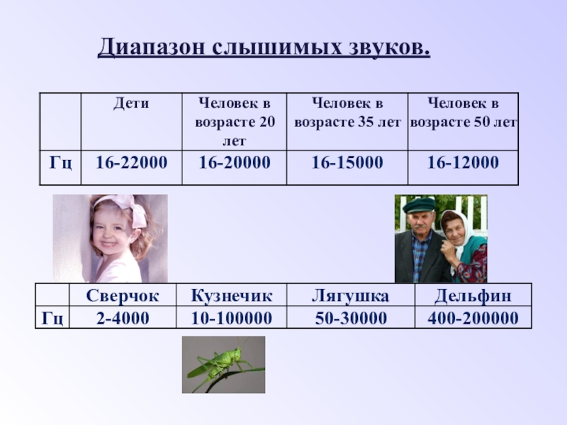 Презентация по физике на тему Звуковые колебания. Диапазон слышимых звуков. Диапазон слышимых звуков.