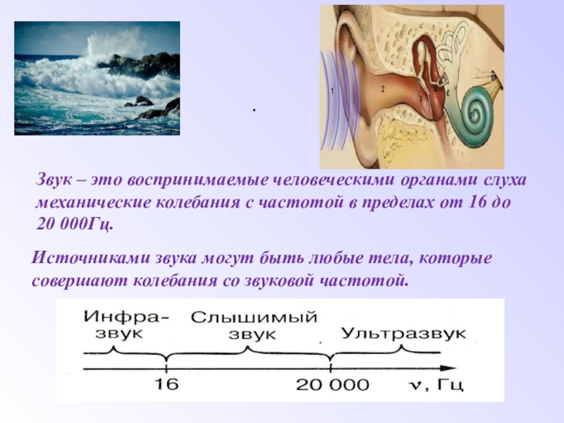 Презентация по физике на тему Звуковые колебания. .Звук – это воспринимаемые человеческими органами слуха механические колебания с частотой .Звук – это воспринимаемые человеческими органами слуха механические колебания с частотой в пределах от 16 до 20