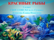 Презентация Красивые рыбык уроку изобразительного искусства в 1 классе