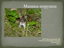 Презентация к внеурочному занятию на тему Мышка - норушка