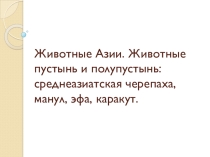 Презентация по экологии на тему: Животные пустынь (Азия).