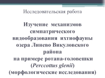 Презентация по темеМеханизмы симпатрического видообразования