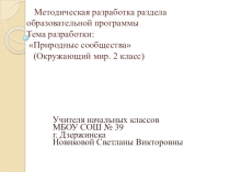 Презентация разработка раздела программы