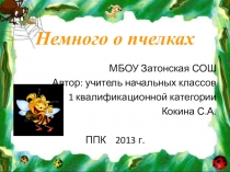 Презентация для 3 класса Немного о пчелках