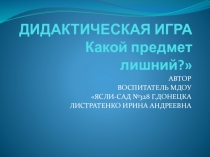 Дидактическая игра Какой предмет лишний?