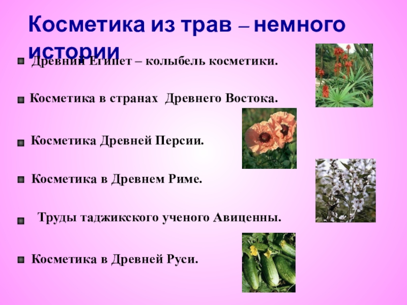 Презентация medicinal plants