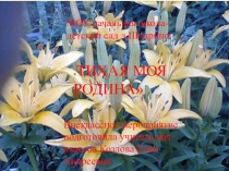 Презентация Тихая моя родина