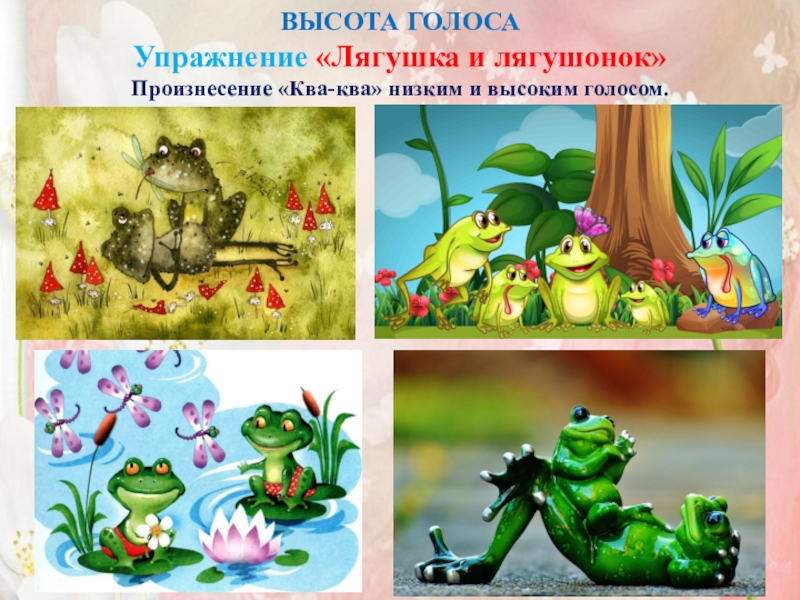 Семинар-практикум Волшебный мир детства ВЫСОТА ГОЛОСАУпражнение «Лягушка и лягушонок» Произнесение «Ква-ква» низким и высоким голосом. ВЫСОТА ГОЛОСАУпражнение «Лягушка и лягушонок» Произнесение «Ква-ква» низким и высоким голосом.