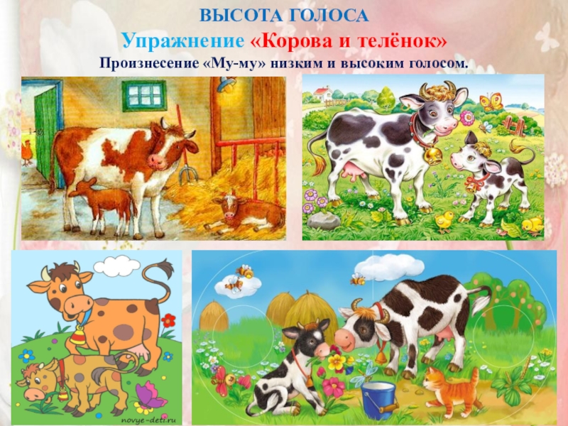 Семинар-практикум Волшебный мир детства ВЫСОТА ГОЛОСАУпражнение «Корова и телёнок» Произнесение «Му-му» низким и высоким голосом. ВЫСОТА ГОЛОСАУпражнение «Корова и телёнок» Произнесение «Му-му» низким и высоким голосом.