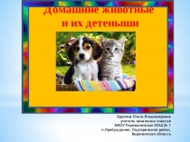 Презентация к классному часу в 1 классе Домашние животные и их детёныши
