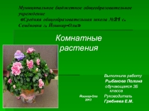 Комнатные растения